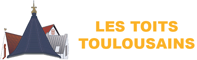 Les toits Toulousains